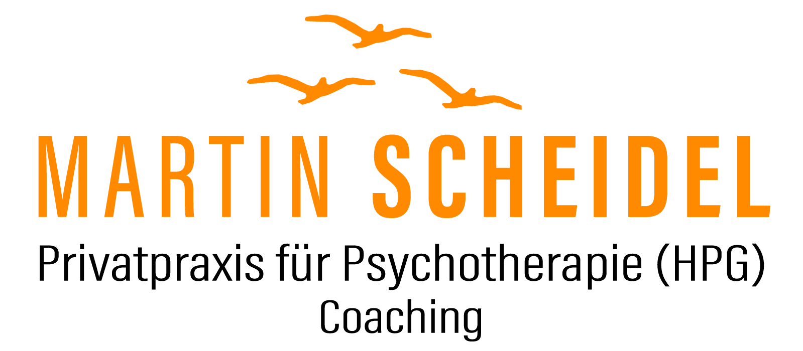 logo-martin-scheidel